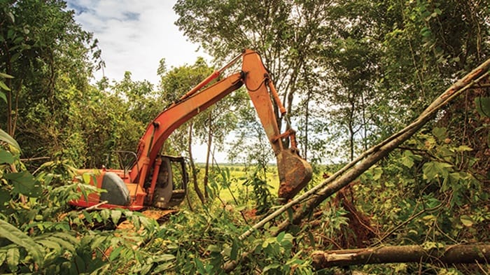 Ilustrasi deforestasi akibat penambangan emas ilegal di Solok Selatan. Foto Ilustrasi: UNAIR NEWS