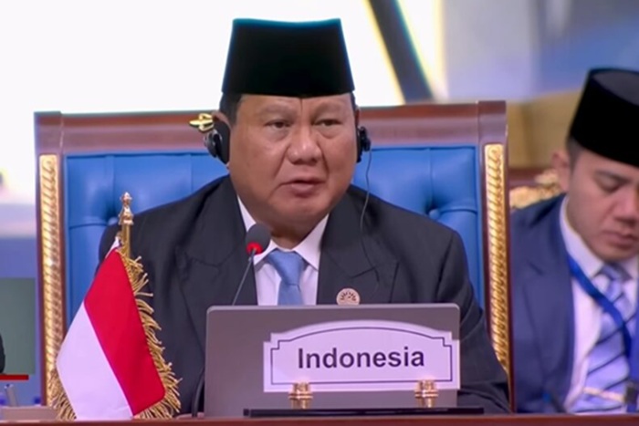 Presiden Prabowo Subianto saat berpidato dalam KTT D-8 di Mesir.